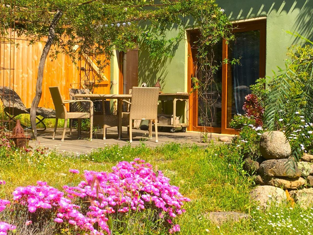 Villa La Rose Bleue à Olmeto  Extérieur photo